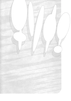 Page 3 of Chisonae SSS ver1.0