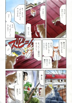 Page 380 of COMIC AUN 2006-05 Vol. 120