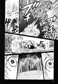 Page 116 of Makyo no Shanana Vol.02