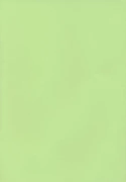 Page 206 of Multiple Flowers