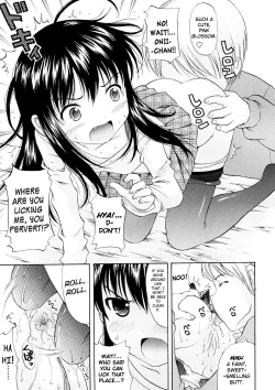 Page 16 of Bishoujo Sister Koakuma Kei