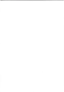 Page 2 of Sefiria Kiwami