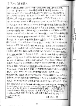 Page 32 of EVA 01 Test