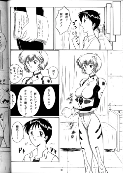 Page 33 of EVA 01 Test