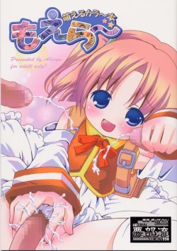 Page 20 of Moeru Color Hon Moera~