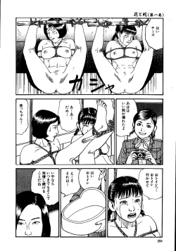 Page 263 of Hana to Hebi 1