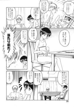 Page 29 of Second Diary