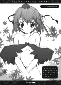 Page 14 of Touhou Kotori Emaki