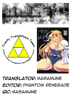 Page 27 of Subete Hazusanai LV2