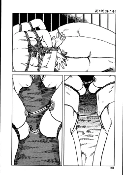 Page 269 of Hana to Hebi 2