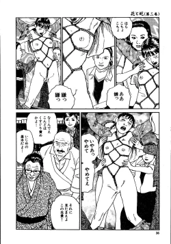 Page 41 of Hana to Hebi 2