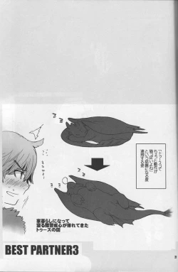 Page 19 of BEST PARTNER3