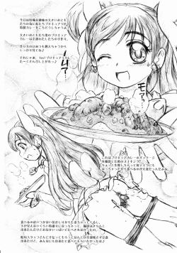 Page 3 of Yes! PRECURE-5 Curry
