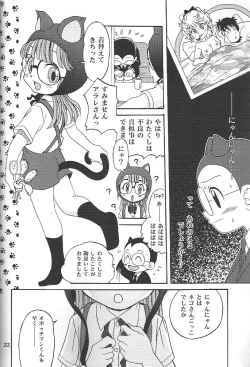 Page 21 of Project Arale 2