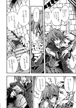 Page 13 of Akai Mokujiroku