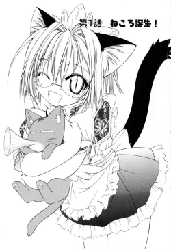 Page 6 of Ikeike!! Nekoro Maid