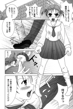 Page 249 of Comic Moog 2007-08