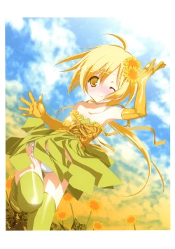 Page 30 of RAISONNE IV