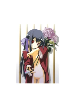 Page 91 of RAISONNE IV