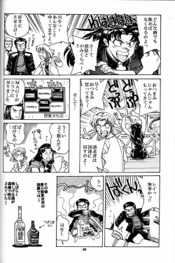 Page 29 of Motto Hazukashii NERV