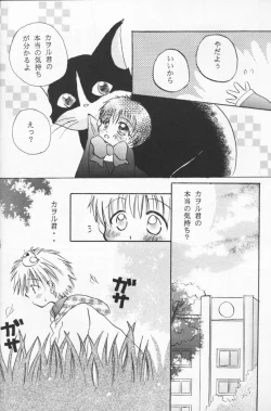 Page 13 of Hana Shoujo