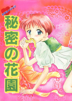 Download Himitsu no Hanazono