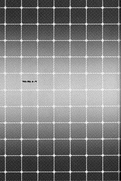 Page 26 of Floral Talk