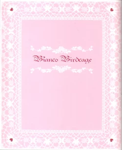 Page 7 of Bianco Birdcage