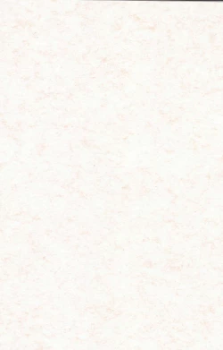 Page 2 of till the LAST