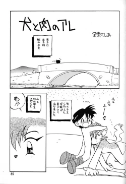 Page 83 of Chousen Ame Ver.06