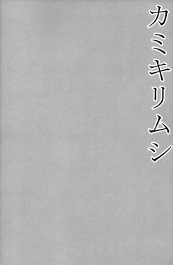 Page 4 of Kamikirimushi