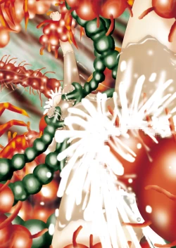 Page 127 of Fushigi SekaiNonona 6