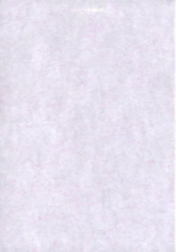 Page 2 of Eva Nyan Goranshin