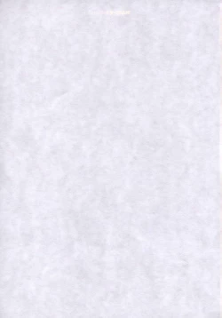 Page 46 of Eva Nyan Goranshin