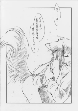 Page 17 of Ookami no Chotto H na Hanashi