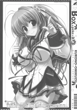 Page 11 of BBox-Peke x 3