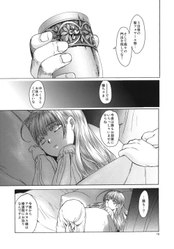 Page 14 of Saint Foire Festival 5