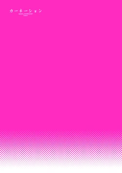 Page 19 of Carnation