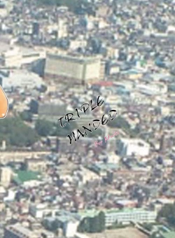 Page 28 of TRIPLE HANDED