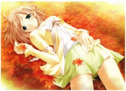 Page 11 of Canvas Visual Fan Book