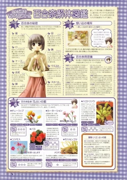 Page 30 of Canvas Visual Fan Book