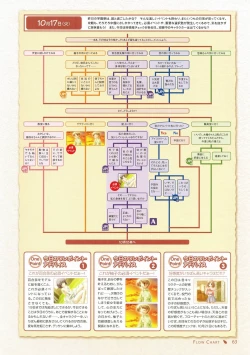 Page 51 of Canvas Visual Fan Book