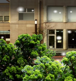 Page 69 of Female Dress Dancer