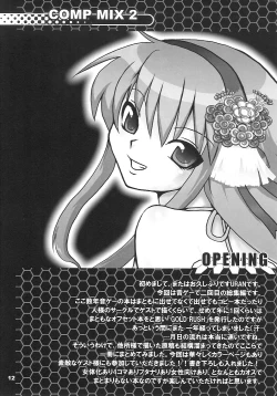 Page 11 of COMP MIX 2