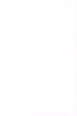 Page 2 of PICOMANI.A