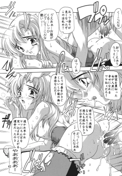 Page 43 of Lacus Destiny ~ Soushuuhen 1