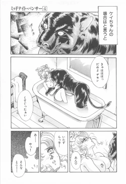 Page 11 of Midnight Panther Volume 4 JPN