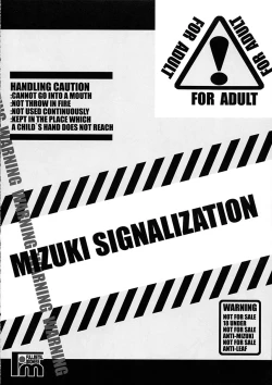 Page 15 of MIZUKI SIGNALIZATION