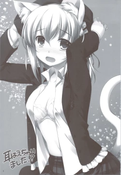 Page 3 of Expert ni Narimashita! & MIMI PLUS Mimi Haechaimashita!?