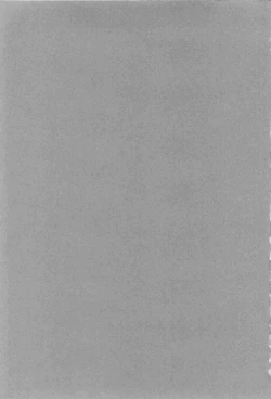 Page 3 of Aniparo Miki 2